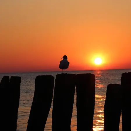 Wczasowisko Syrena Niechorze