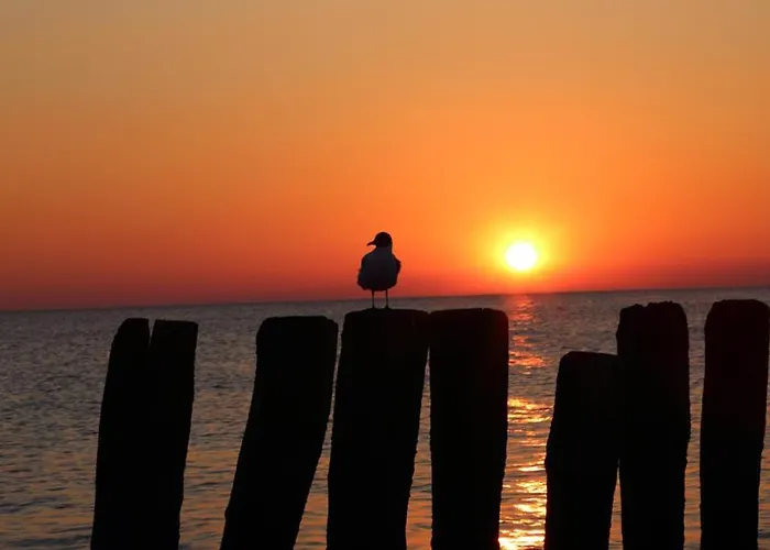 Wczasowisko Syrena Niechorze